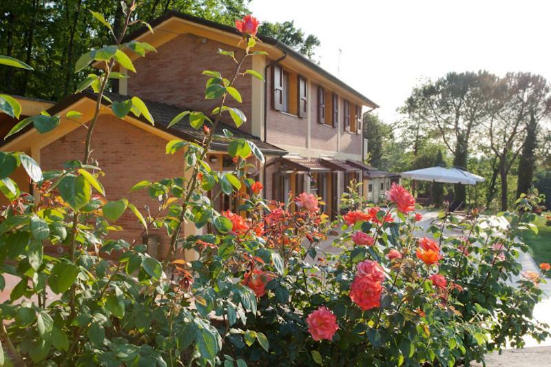 Agriturismo Di Paterno Sarzana Dış mekan fotoğraf